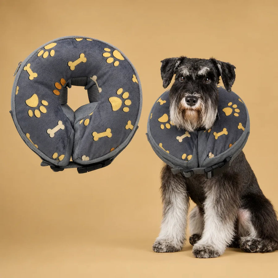 Collerette donut chien gonflable - Alternative douce au cône