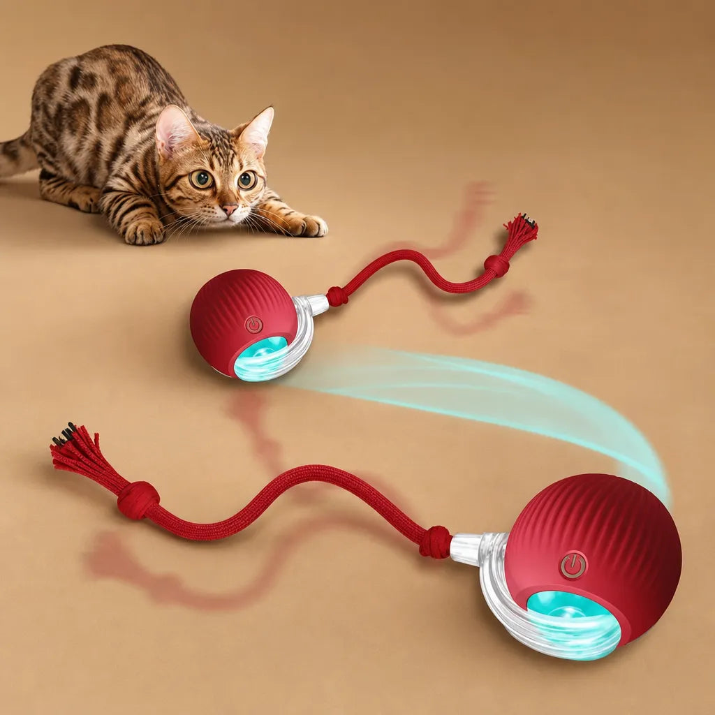 Balle interactive chien électrique - LED corde 3 modes USB-C
