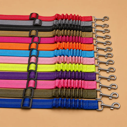 Ceinture de sécurité chien - Nylon réfléchissant réglable