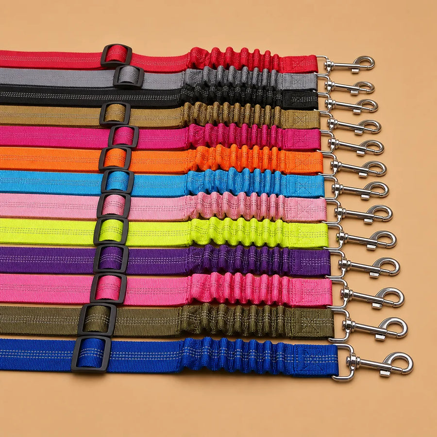 Ceinture de sécurité chien - Nylon réfléchissant réglable