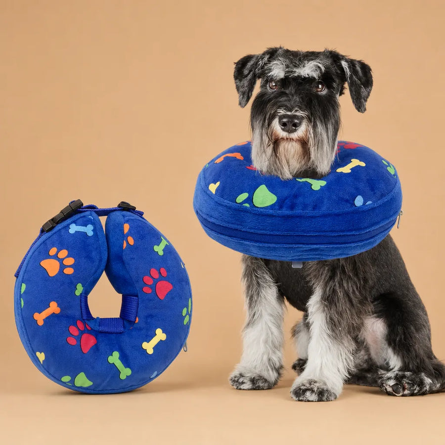 Collerette donut chien gonflable - Alternative douce au cône