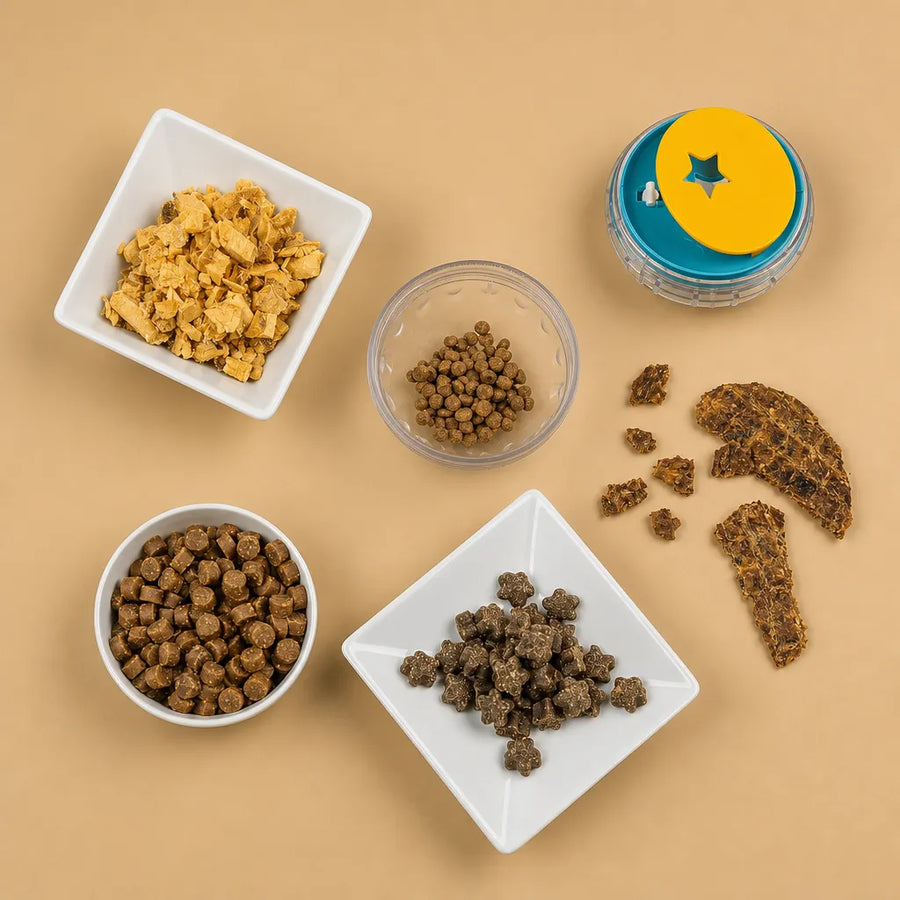 Jouet distributeur de friandises pour chien - Boule IQ