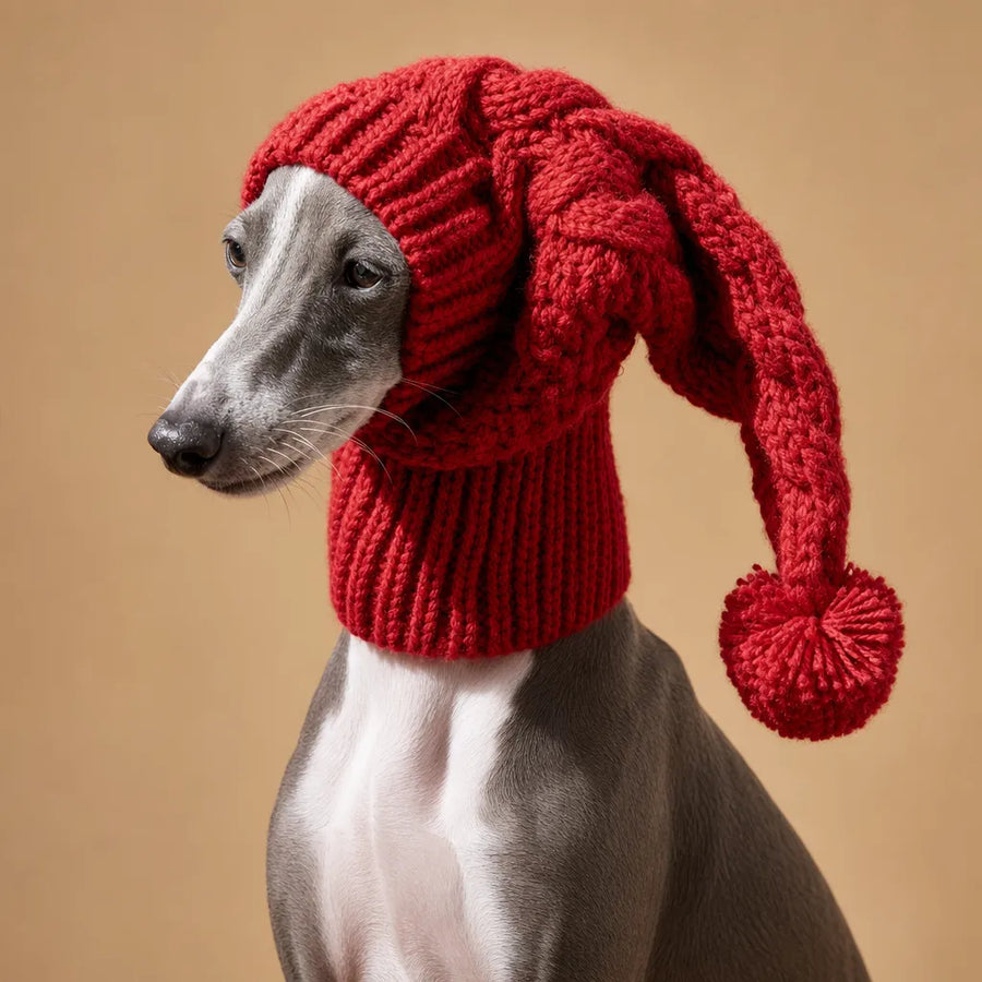 Snood pour Lévrier - Tricoté Main Whippet Greyhound