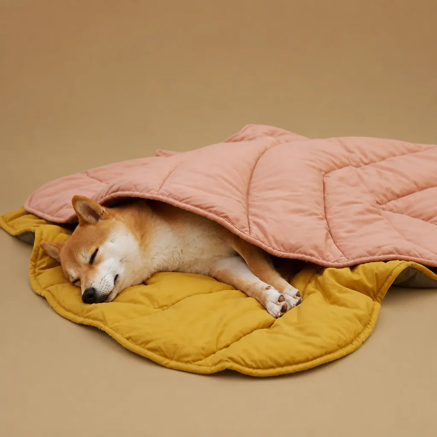 Tapis pour chien frais en coton - Forme feuille respirant