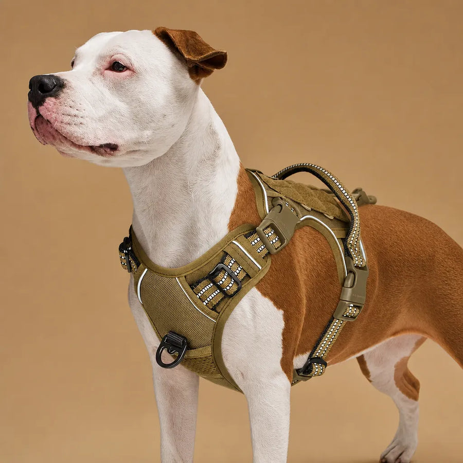 Harnais tactique pour chien - Gilet MOLLE militaire réfléchissant