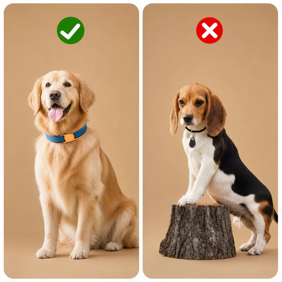 Collier AirTag pour chien - Housse silicone pour tracker