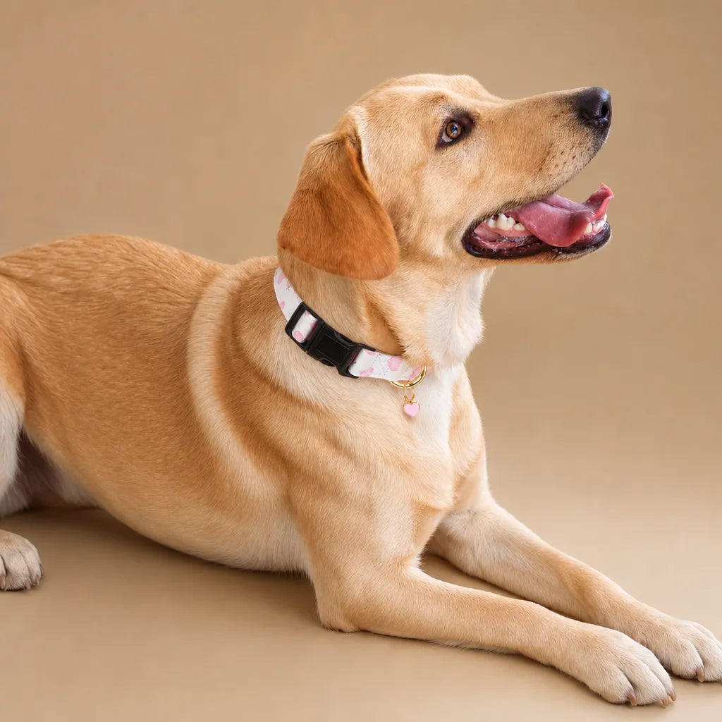 Collier chien rose - Coton imprimé pendentif cœur fait main