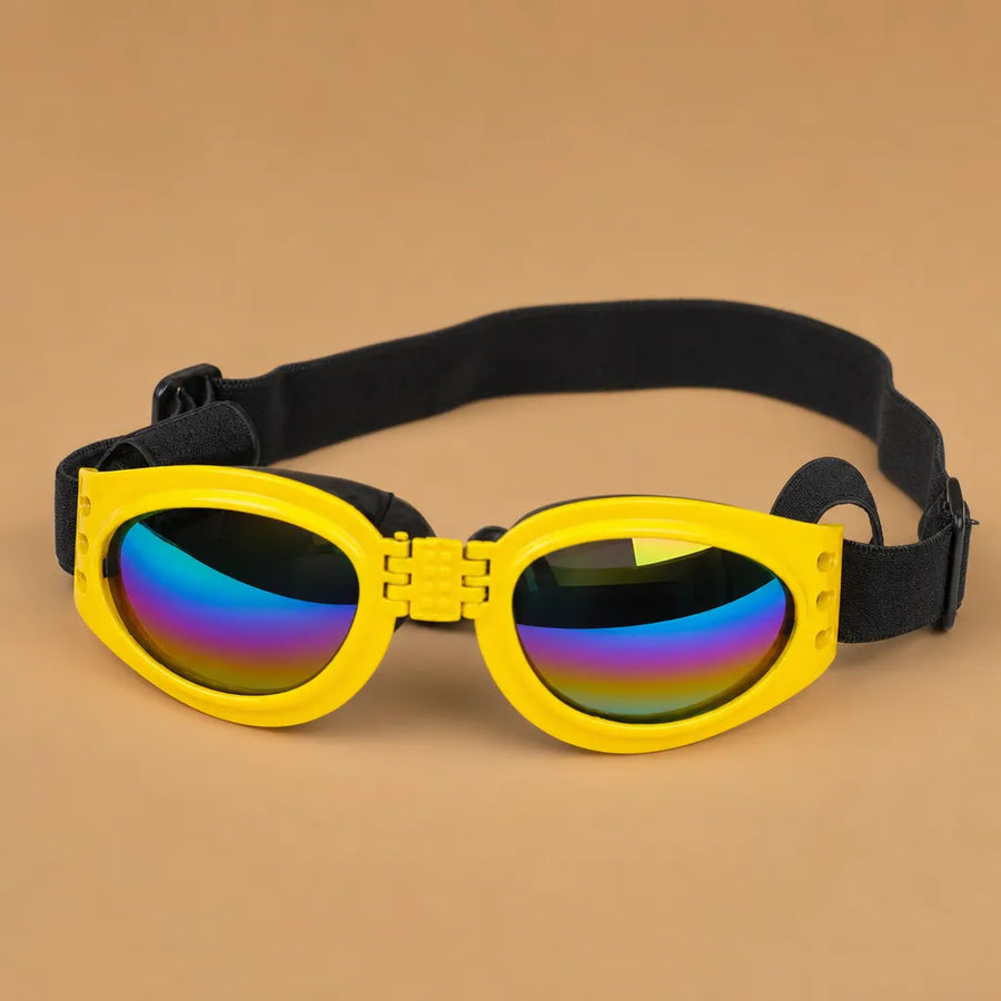Lunette de soleil pour chien pliable - Double sangle 6 coloris