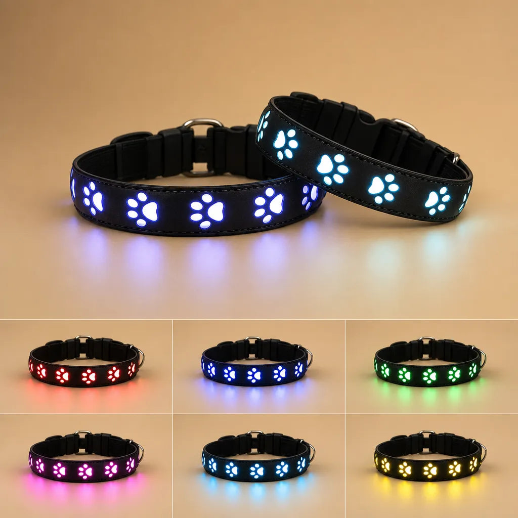 Collier lumineux pour chien - 7 modes LED USB 500 mètres
