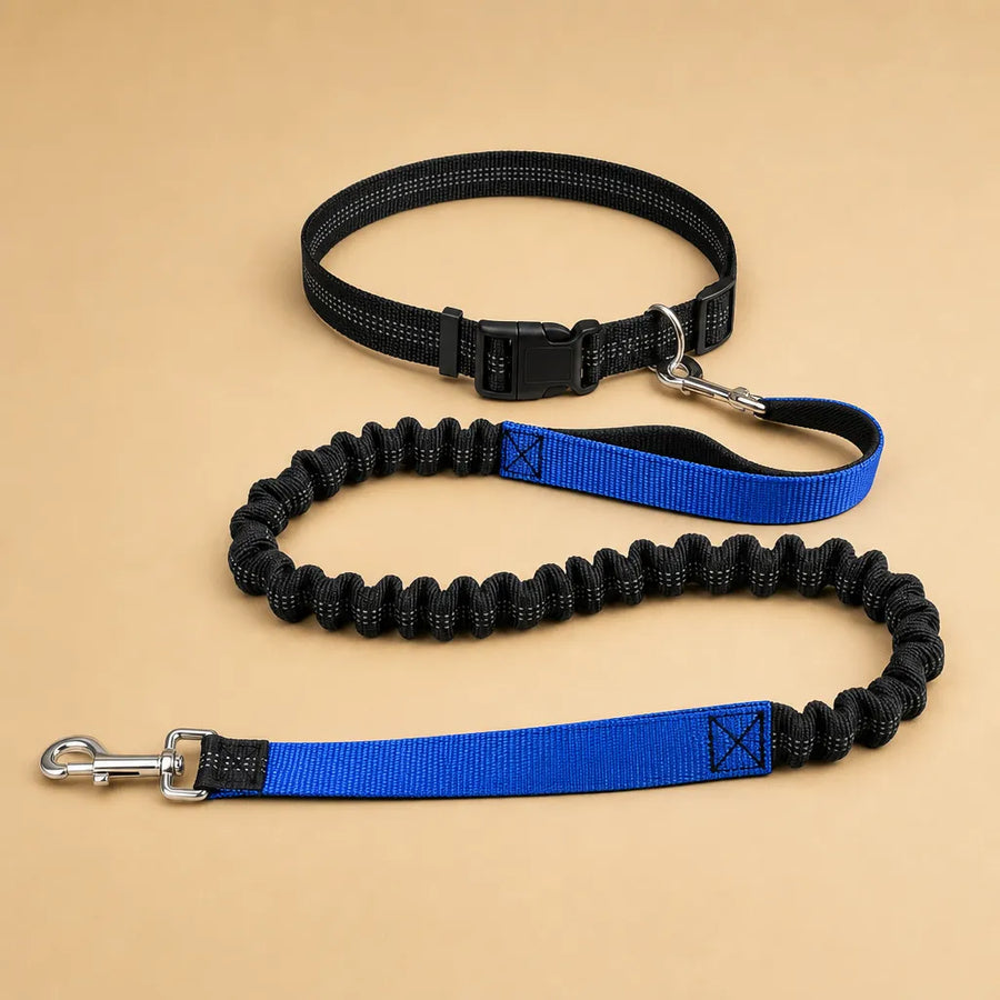 Laisse chien main libre - Ceinture réglable longe bungee