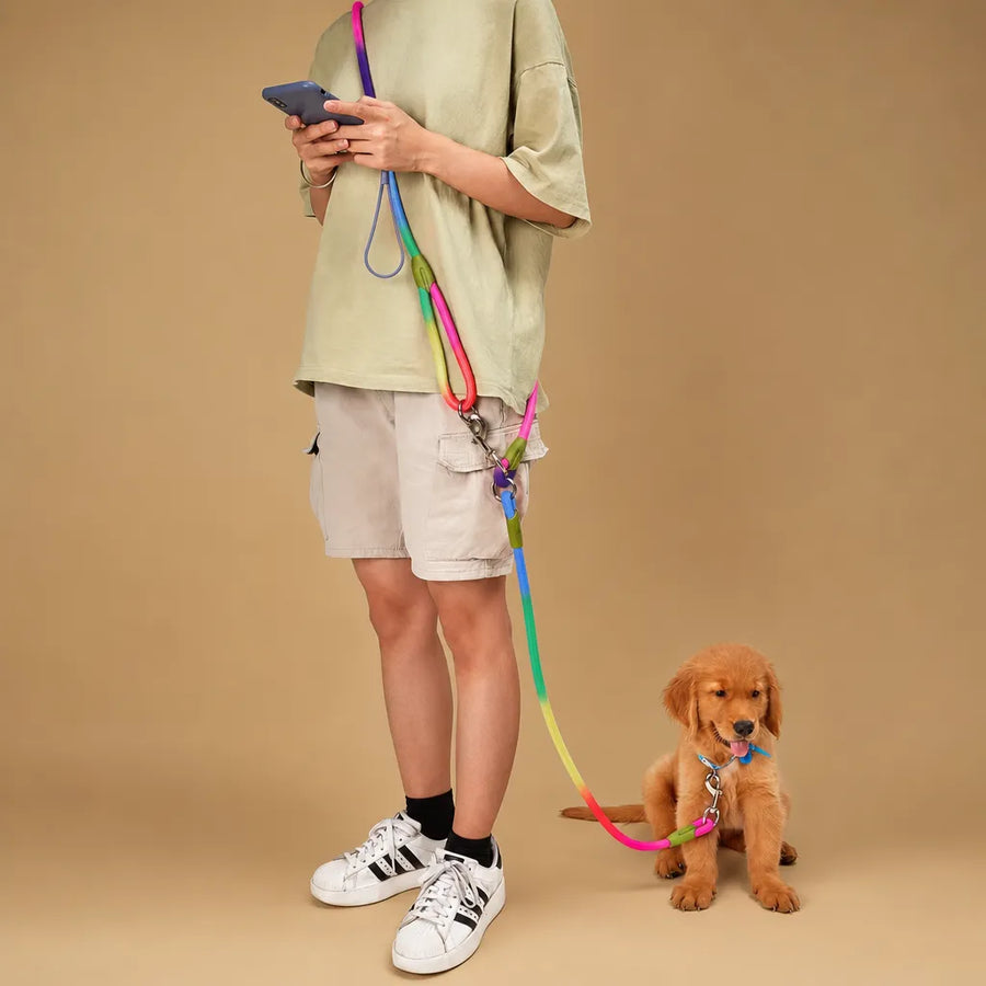 Laisse pour chien mains libres réfléchissante - Nylon