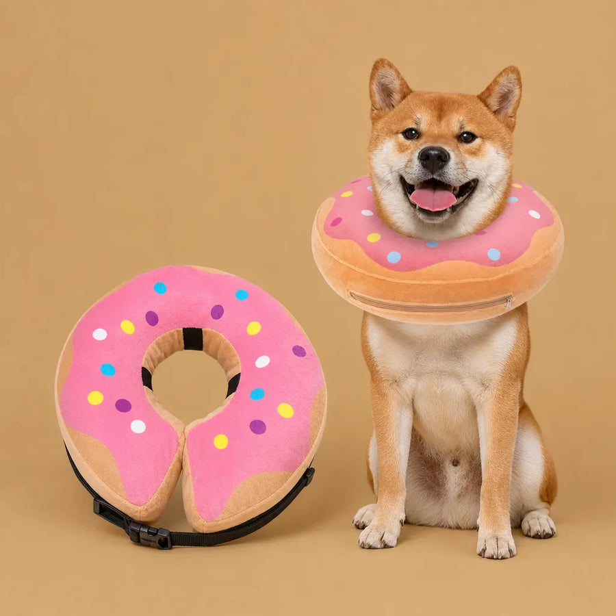 Collerette donut chien gonflable - Alternative douce au cône