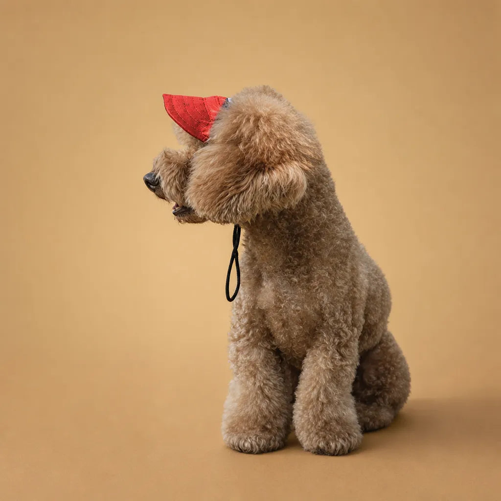 Casquette chien baseball - Visière UV & Trous pour oreilles