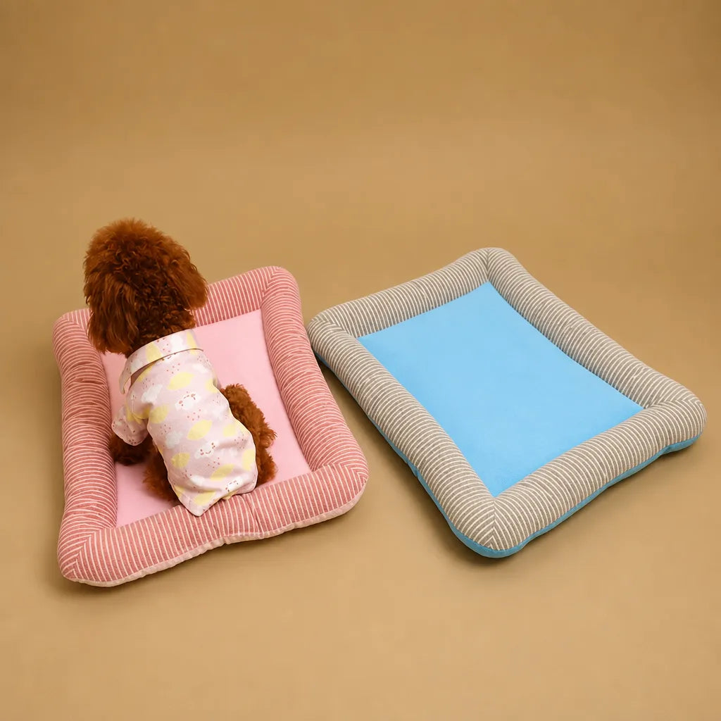 Coussin rafraichissant chien en coton - Rebords moelleux été