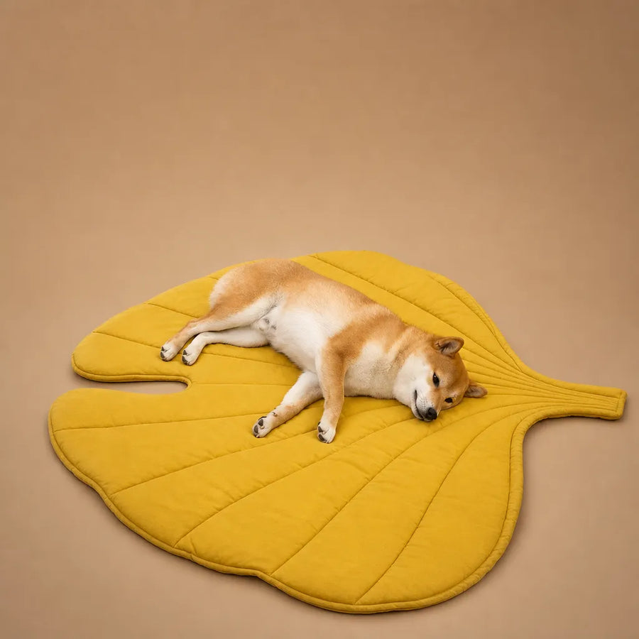 Tapis pour chien frais en coton - Forme feuille respirant