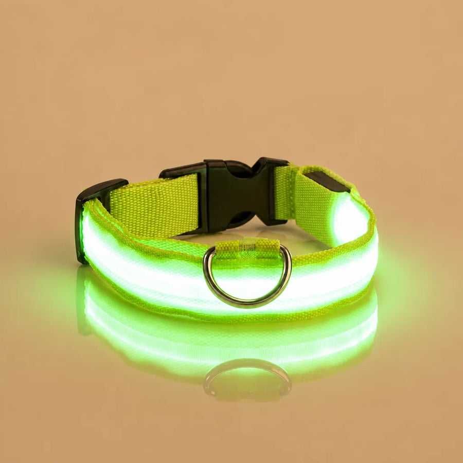 Collier chien lumineux - LED nylon 3 modes XS à XL