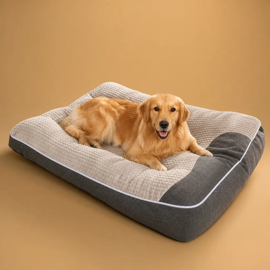 Lit pour Chiens XXL Orthopédique Extra-Épais - 4 Tailles