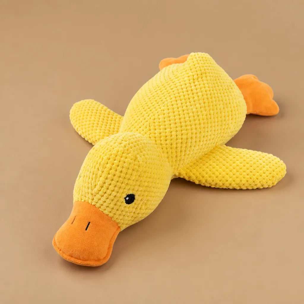 Jouet canard chien sonore - Peluche velours 3 tailles résistante