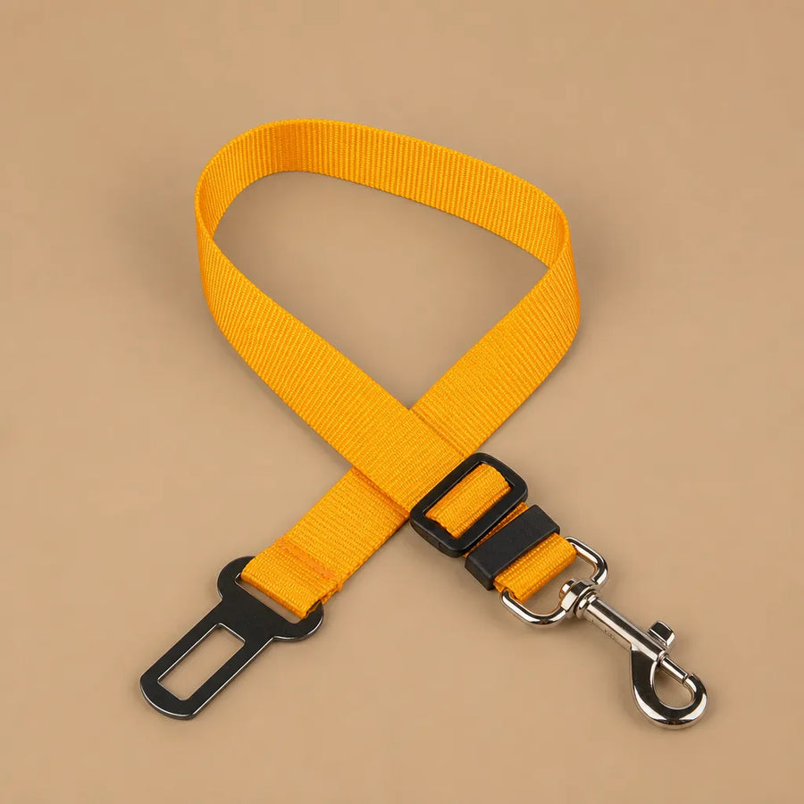 Ceinture chien voiture - Nylon réglable toutes tailles