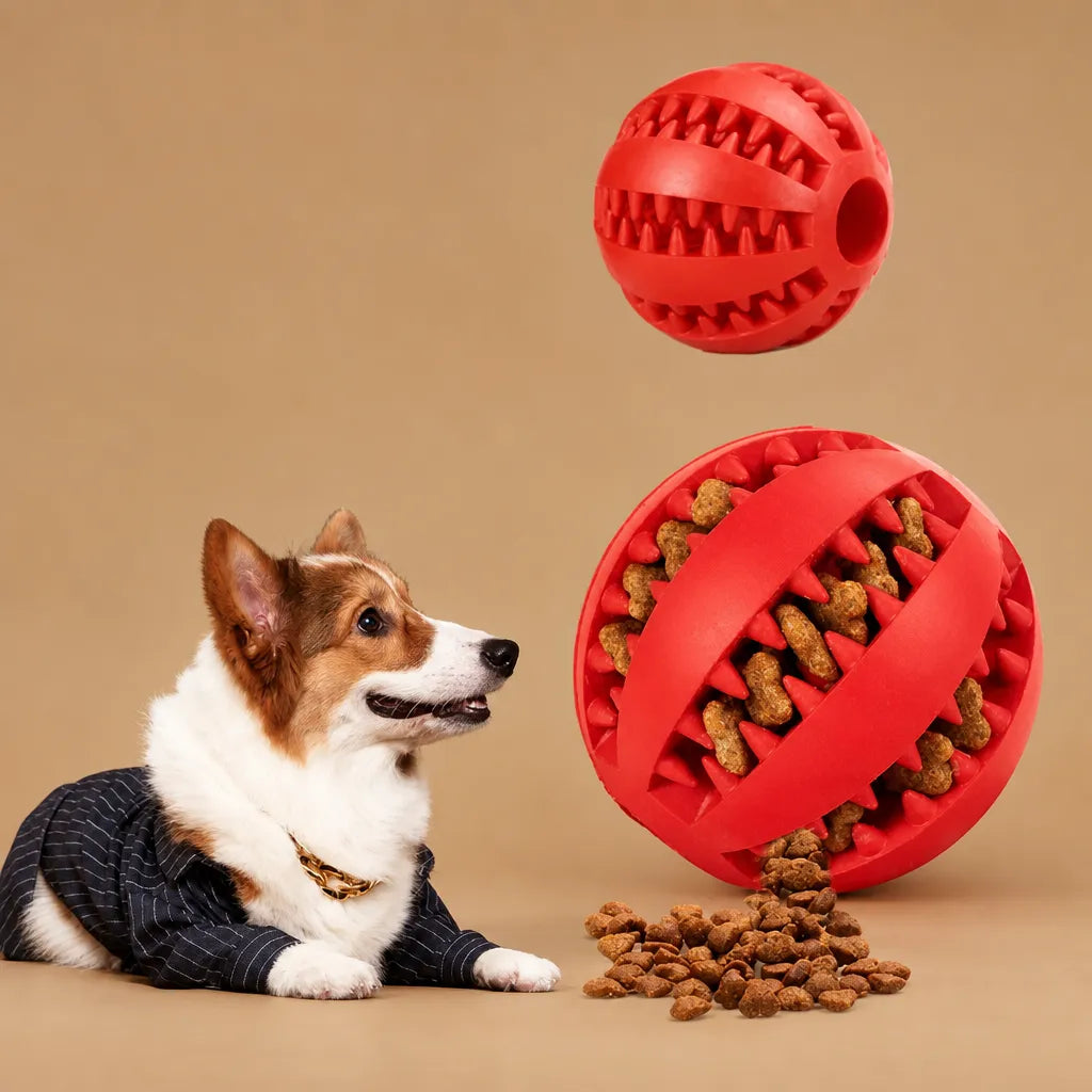 Balle kong chien caoutchouc - Picots distributeur friandises 5 cm