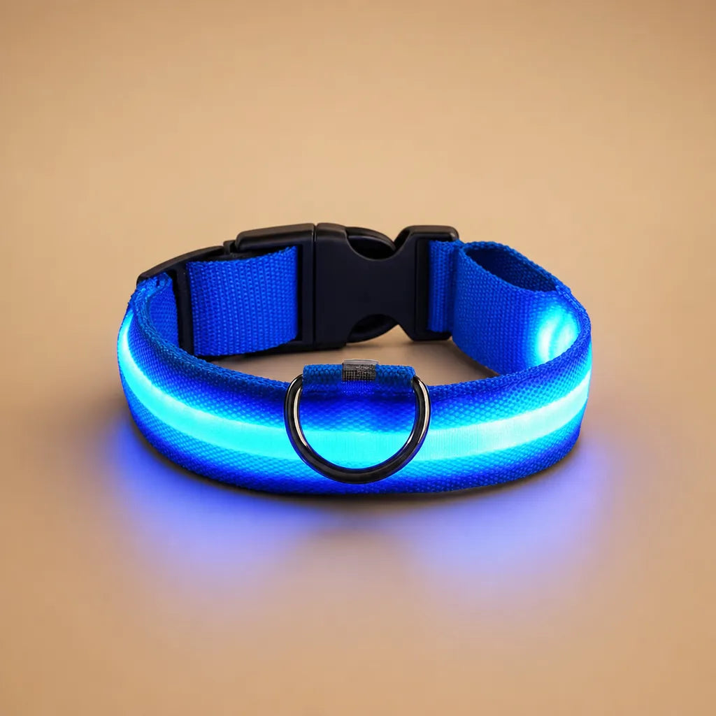 Collier chien lumineux - LED nylon 3 modes XS à XL
