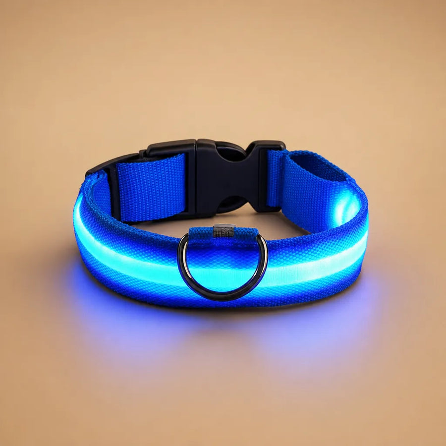 Collier chien lumineux - LED nylon 3 modes XS à XL