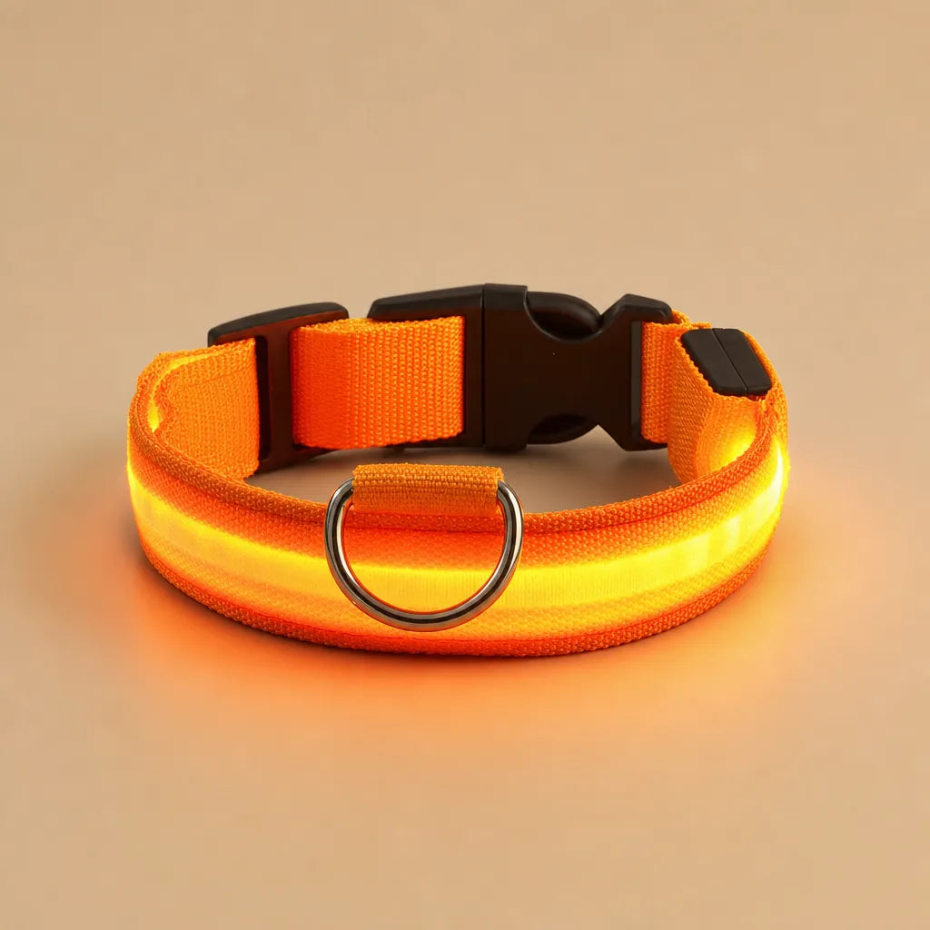 Collier chien lumineux - LED nylon 3 modes XS à XL