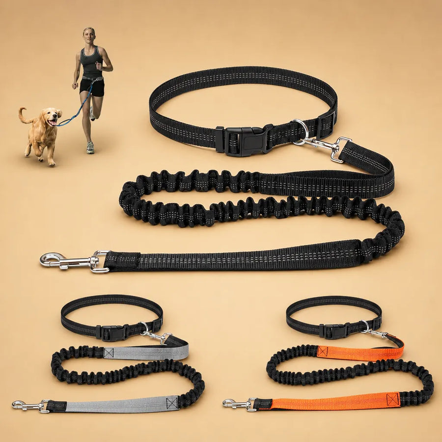 Laisse chien main libre - Ceinture réglable longe bungee