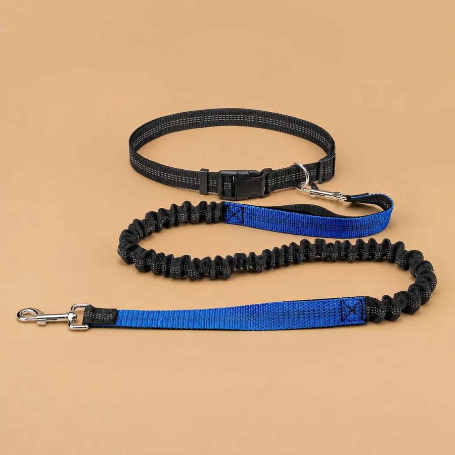 Laisse chien main libre - Ceinture réglable longe bungee