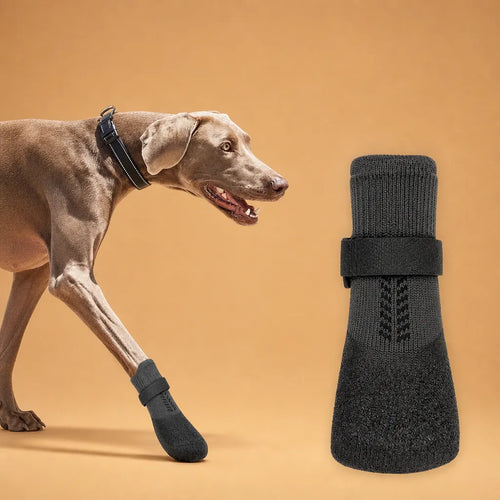 Chaussures pour chien neige - Bottes thermiques hiver