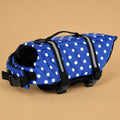 Pois bleu