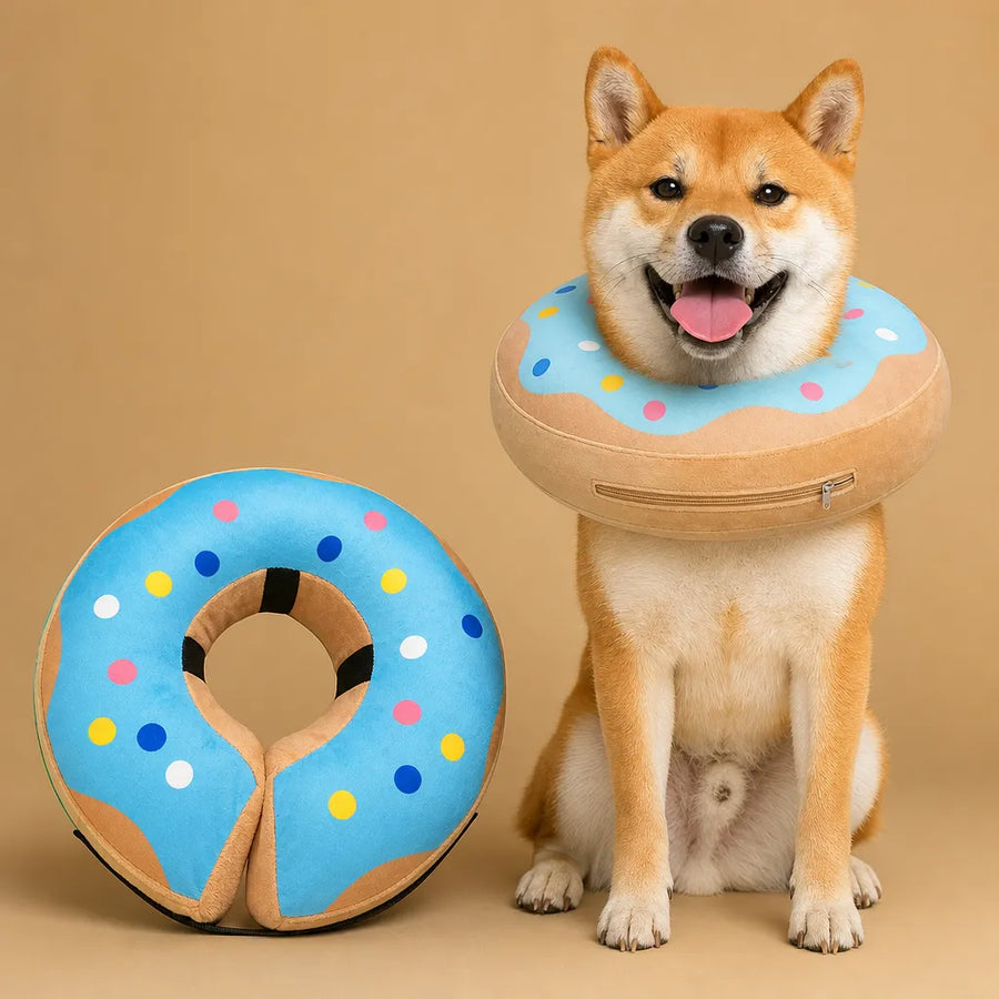 Collerette donut chien gonflable - Alternative douce au cône