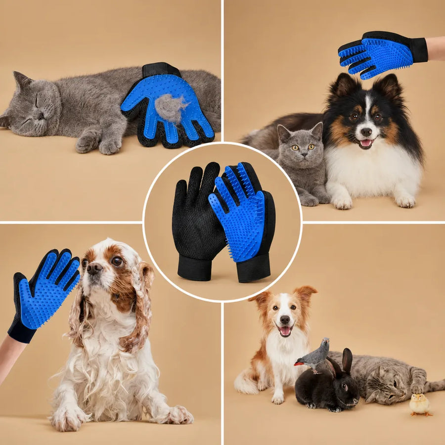 Brosse chien gant en silicone - Massage, bain et déshedding