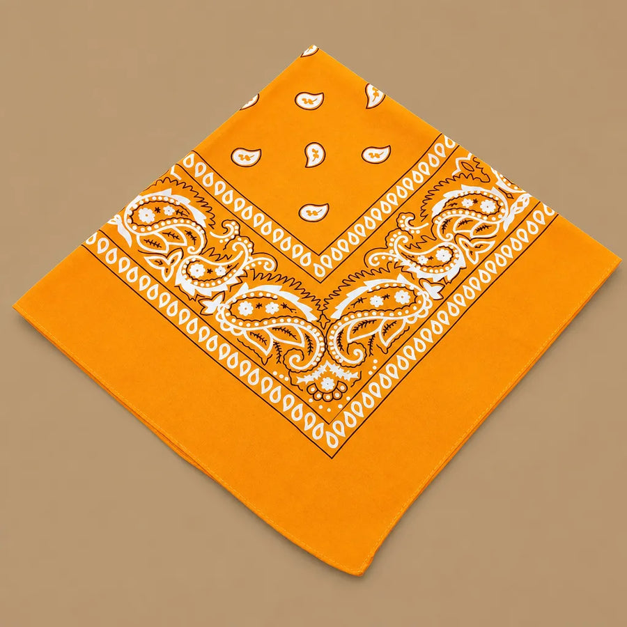 Bandana chien original paisley - 14 coloris 55 cm