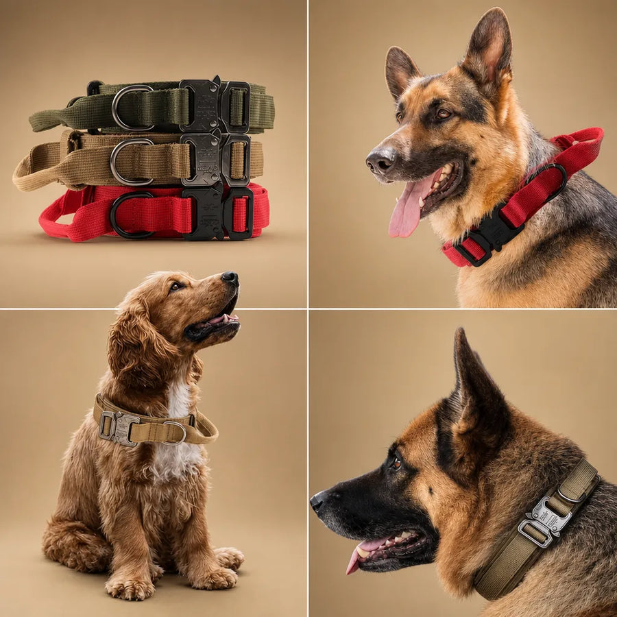 Collier tactique chien - Nylon militaire poignée métal M à XL