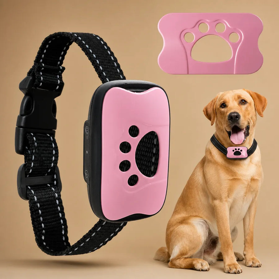 Collier anti aboiement pour chien - Son et vibration USB