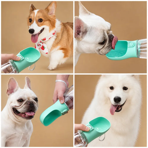 Bouteille d'eau pour chien portable - Gourde de balade