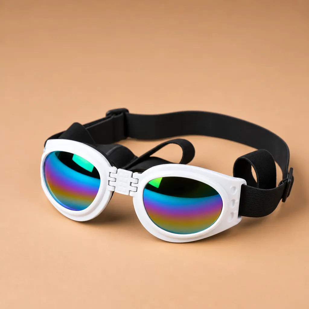 Lunette de soleil pour chien pliable - Double sangle 6 coloris
