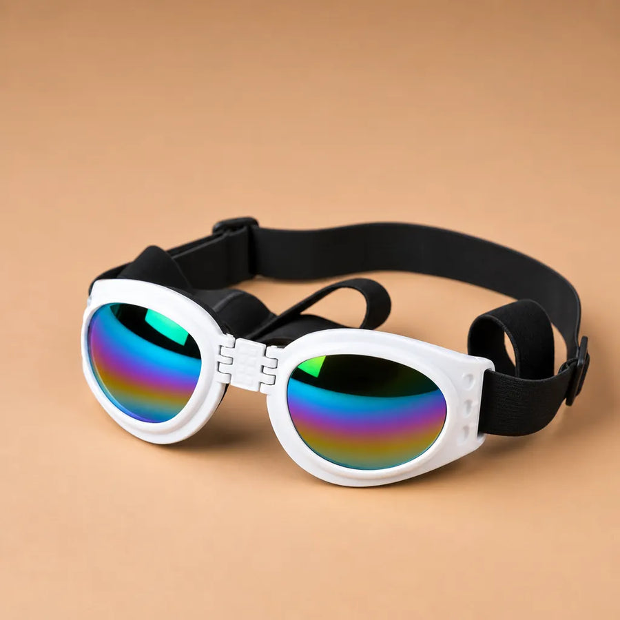 Lunette de soleil pour chien pliable - Double sangle 6 coloris
