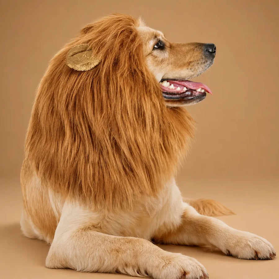 Crinière de lion pour chien - Perruque réaliste et ajustable