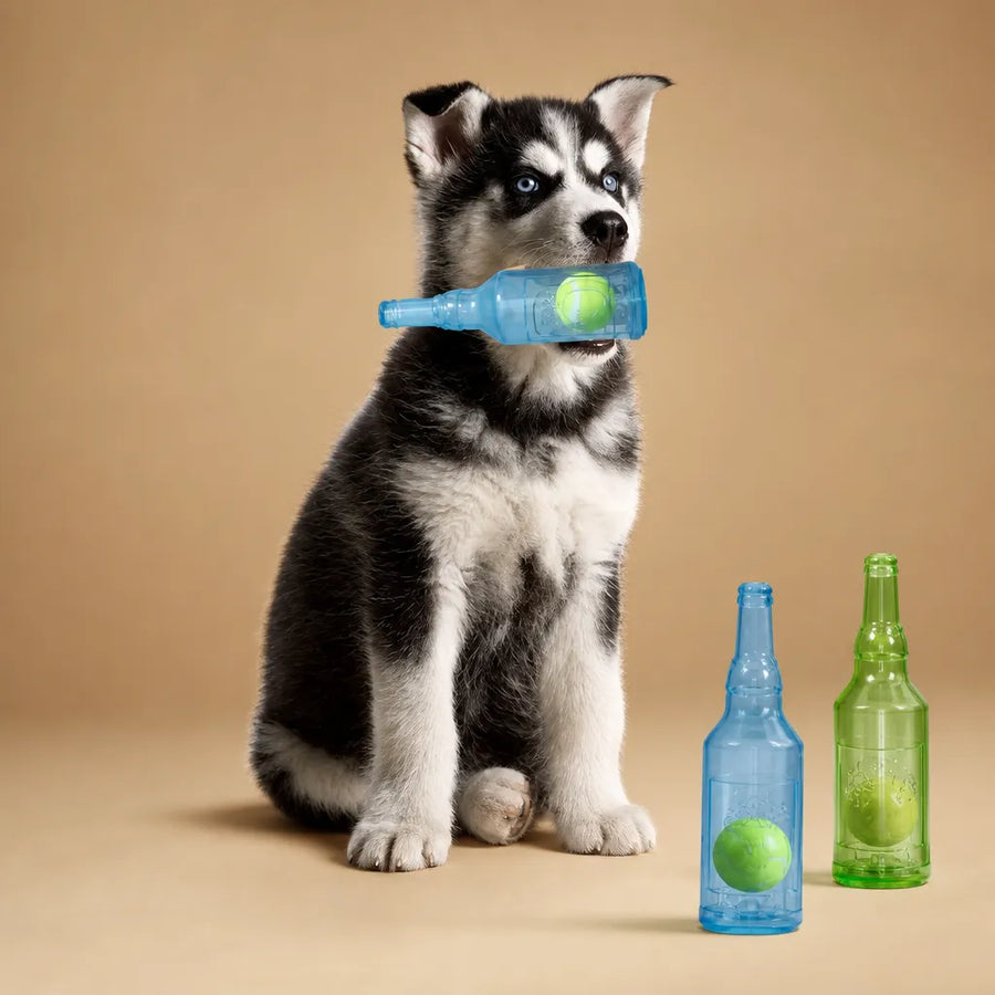 Jouet bouteille chien silicone - Balle tennis intégrée 2 tailles