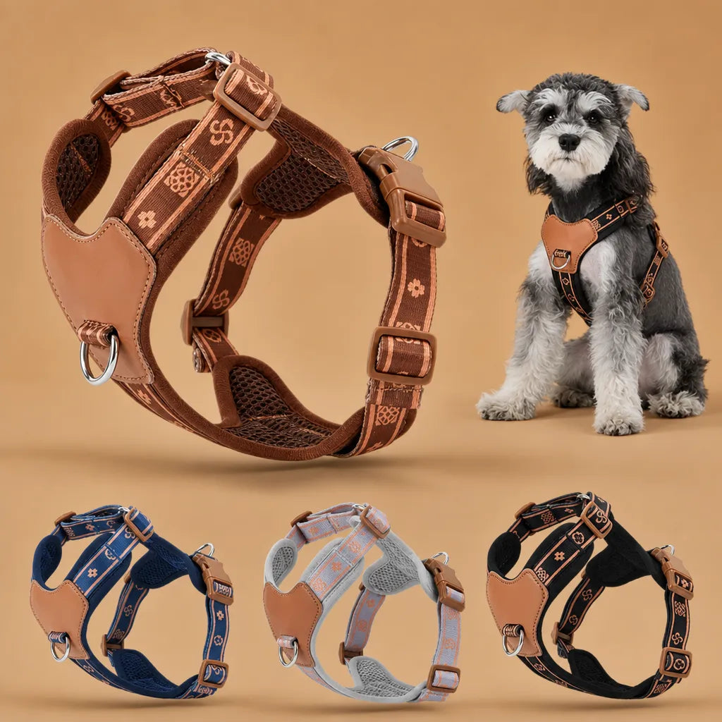Harnais pour Petit Chien Respirant Réglable - 4 Coloris