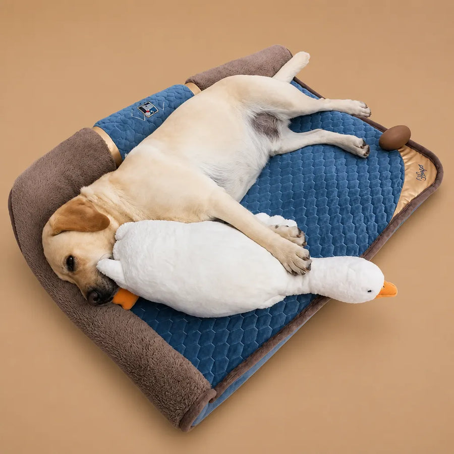 Jouet canard pour chien - Peluche douce et résistante à mâchouiller