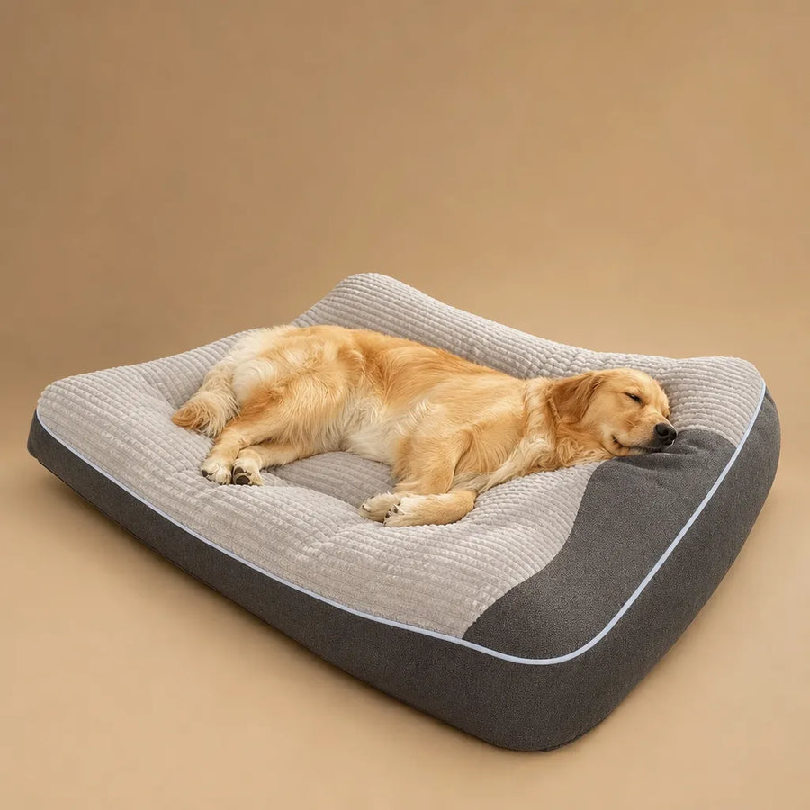 Lit pour Chiens XXL Orthopédique Extra-Épais - 4 Tailles