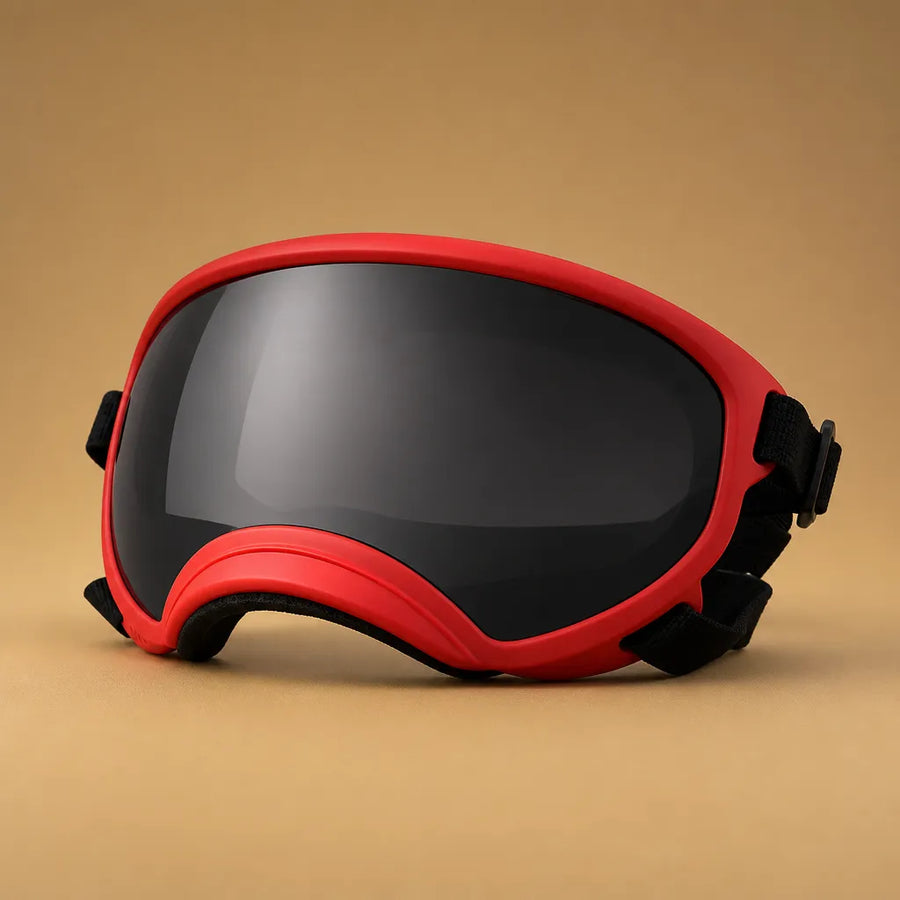 Lunette Protection Chien - Anti-UV & Anti-Choc