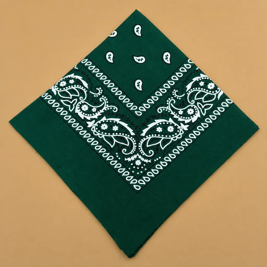 Bandana chien original paisley - 14 coloris 55 cm