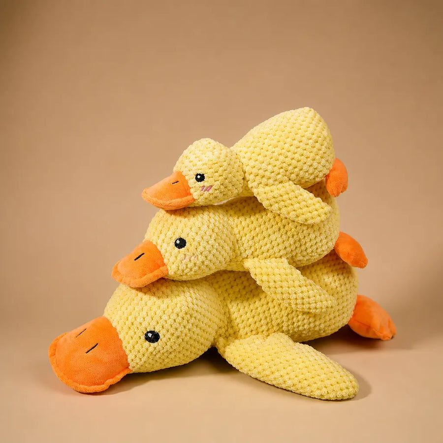 Jouet canard chien sonore - Peluche velours 3 tailles résistante