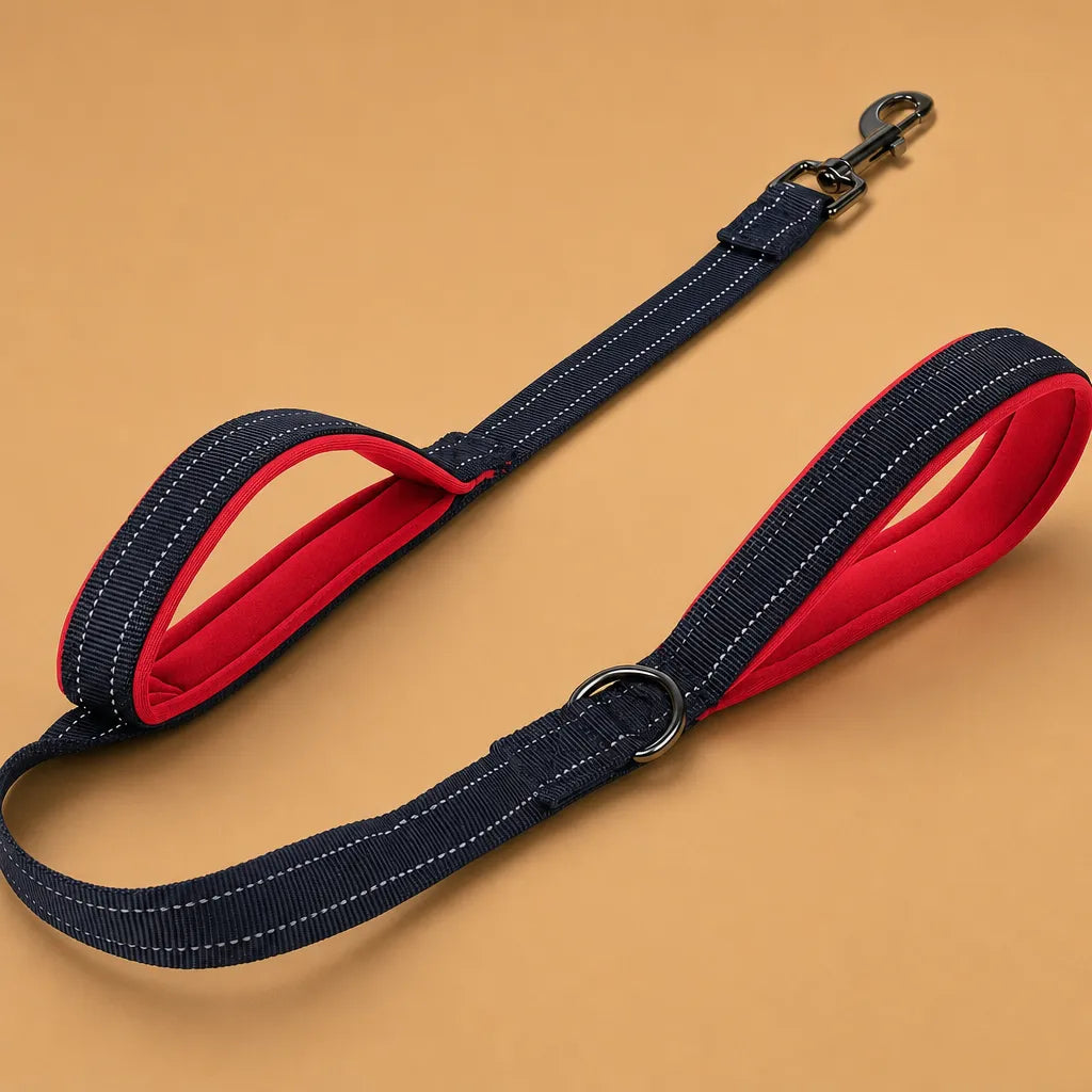 Laisse chien double poignée réfléchissante - Nylon robuste