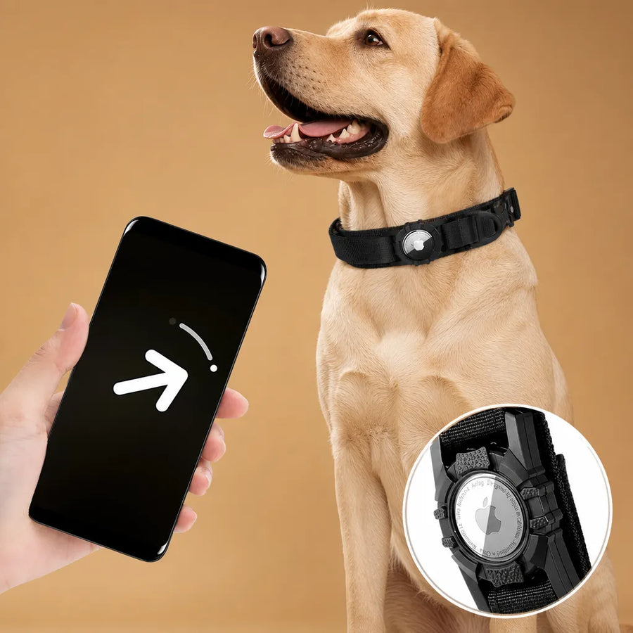 Collier chien tactique avec AirTag - poignée de contrôle