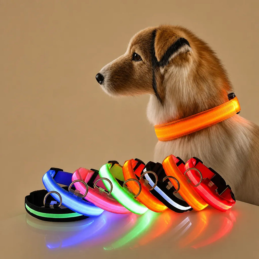 Collier chien lumineux - LED nylon 3 modes XS à XL